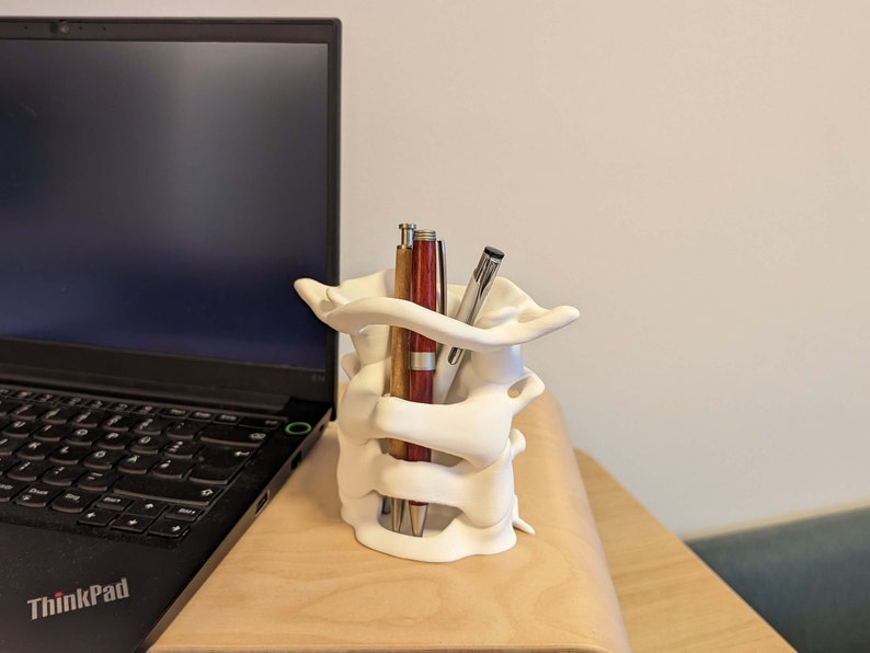 May include: White ceramic desk organizer shaped like a human spine, holding pens and pencils.