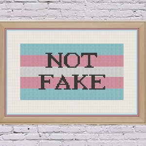 Può includere: Un ricamo a punto croce incorniciato che presenta la bandiera del pride transgender con il testo "NOT FAKE" in nero.
