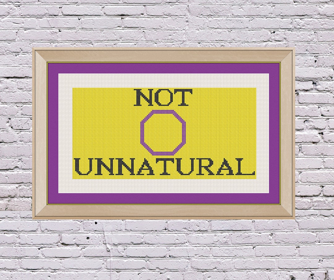 Queer Intersex Cross Stitch NOT Series 5 Pattern PDF Etsy