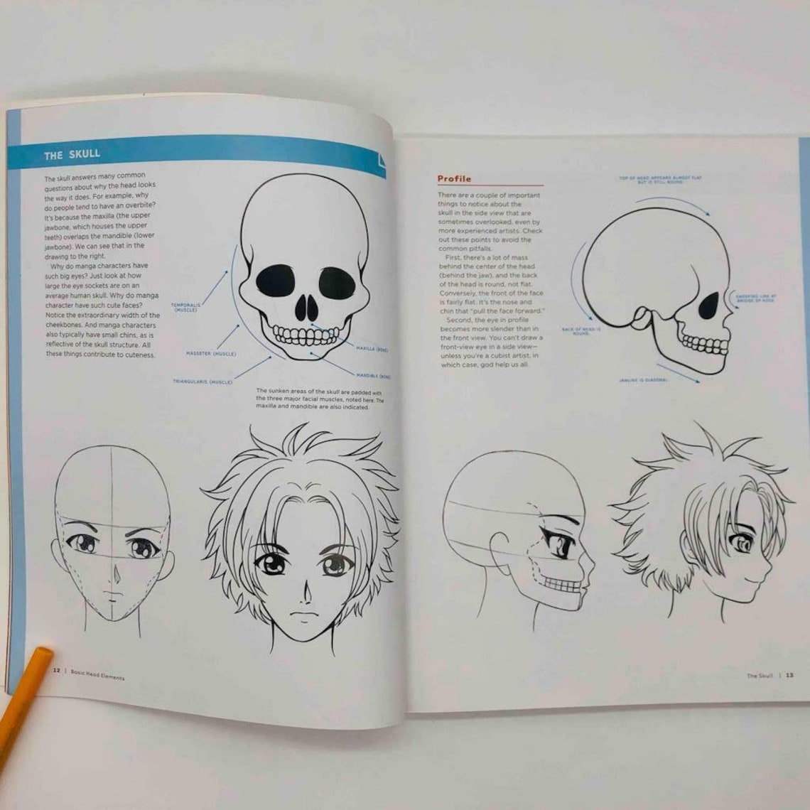 Basic Anatomy for the MANGA Artist Book How to Draw Characters Etsy