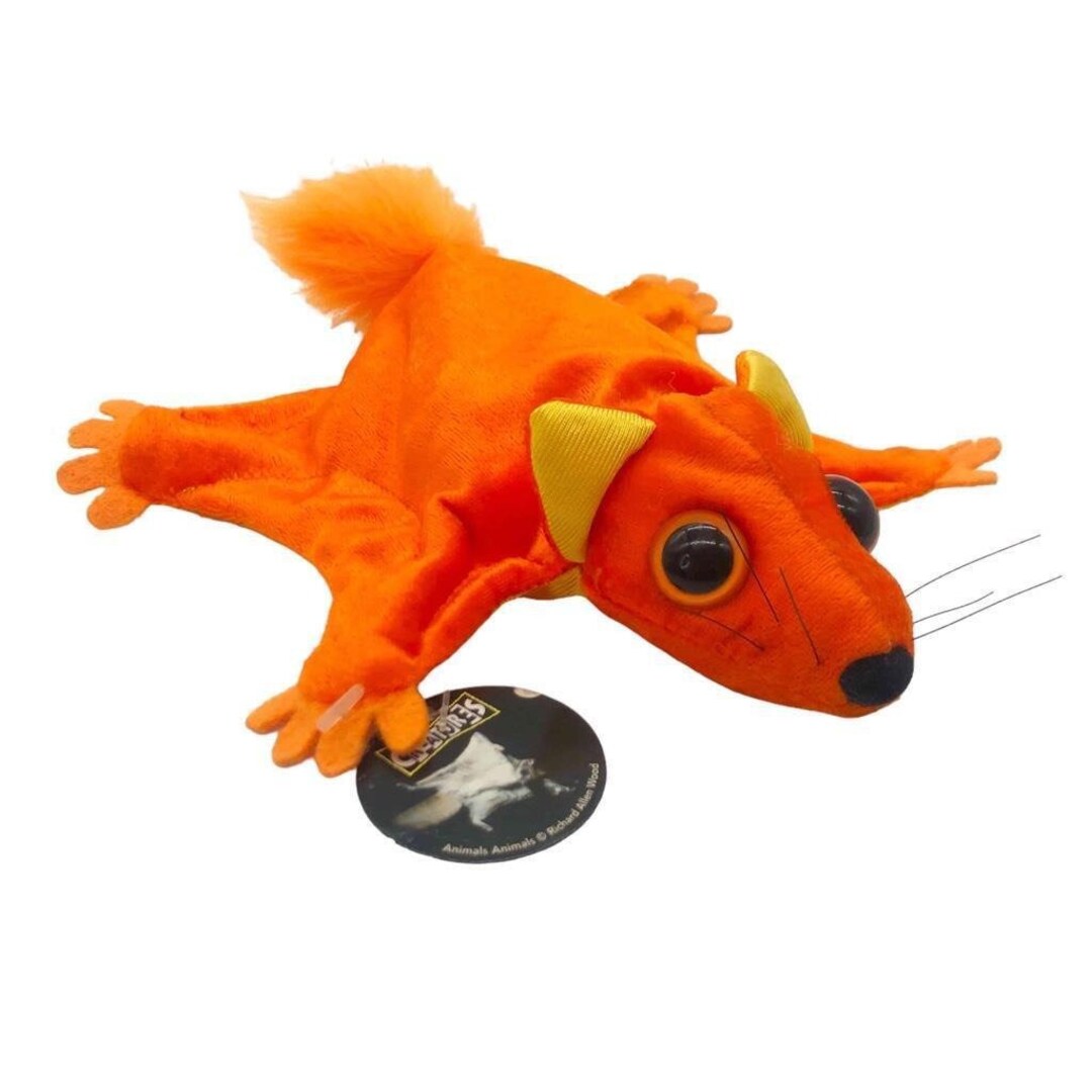 Vintage Kratts' Creatures 7 FLYING SQUIRREL Bean Bag - Etsy