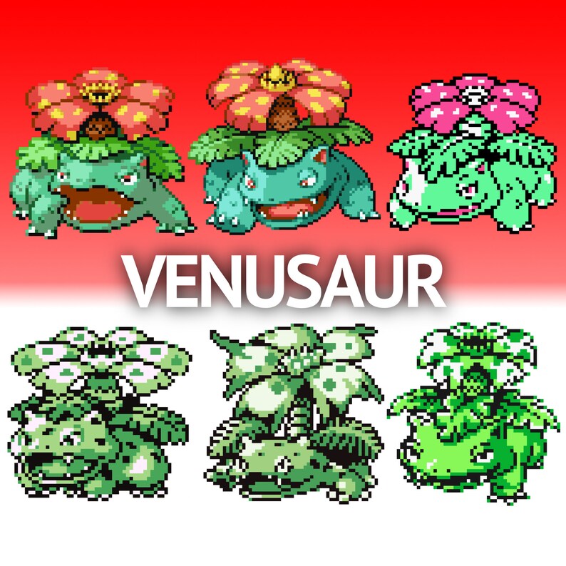 Pokémon Animation Pack Charizard, Blastoise & Venusaur Perfect for