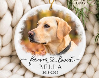 Personalized Pet Memorial Photo Ornament: Dog Sympathy Gift, Cat Loss