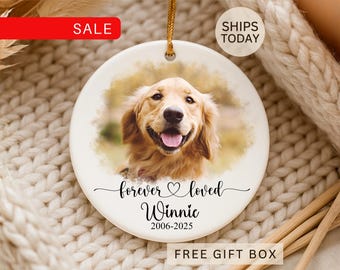 Pet Memorial Ornament Personalized: Custom Dog Loss Keepsake