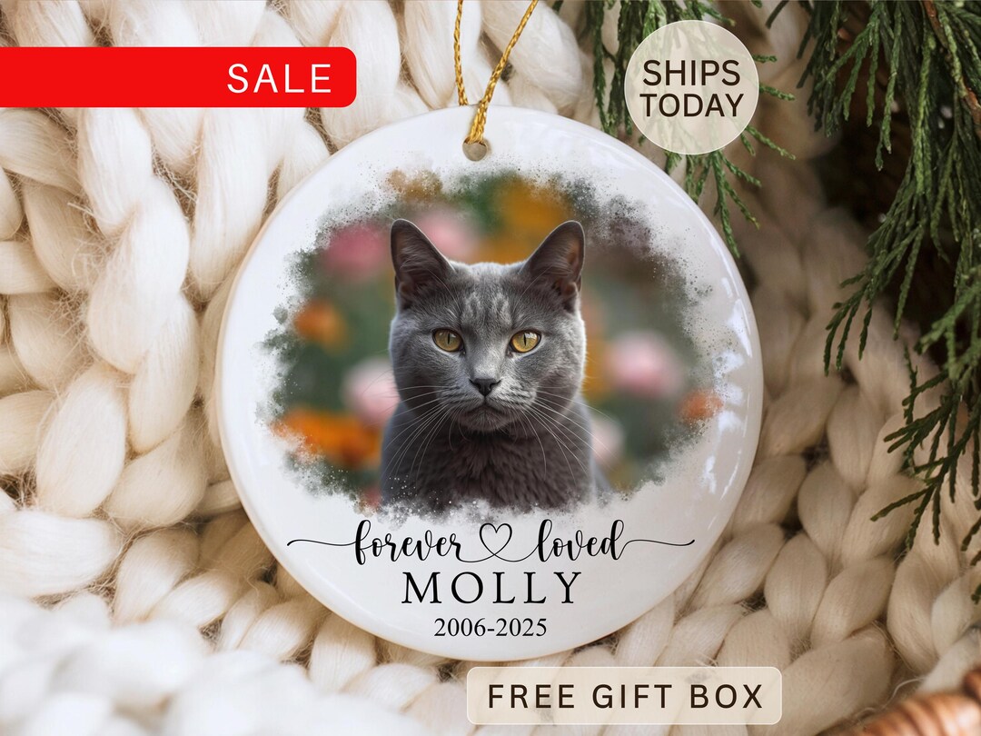 Pet Memorial Ornament Personalized, Custom Dog Loss Keepsake, Cat Photo ...