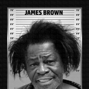 James Brown Celebrity Mugshots Photo Memorabilia No Frame