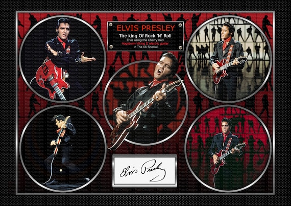 Elvis 2024 hagstrom viking