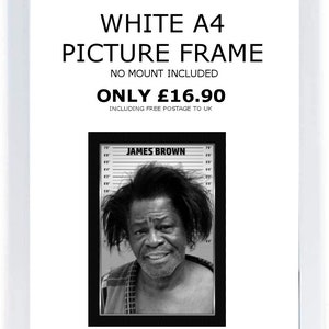 James Brown Celebrity Mugshots Photo Memorabilia White frame