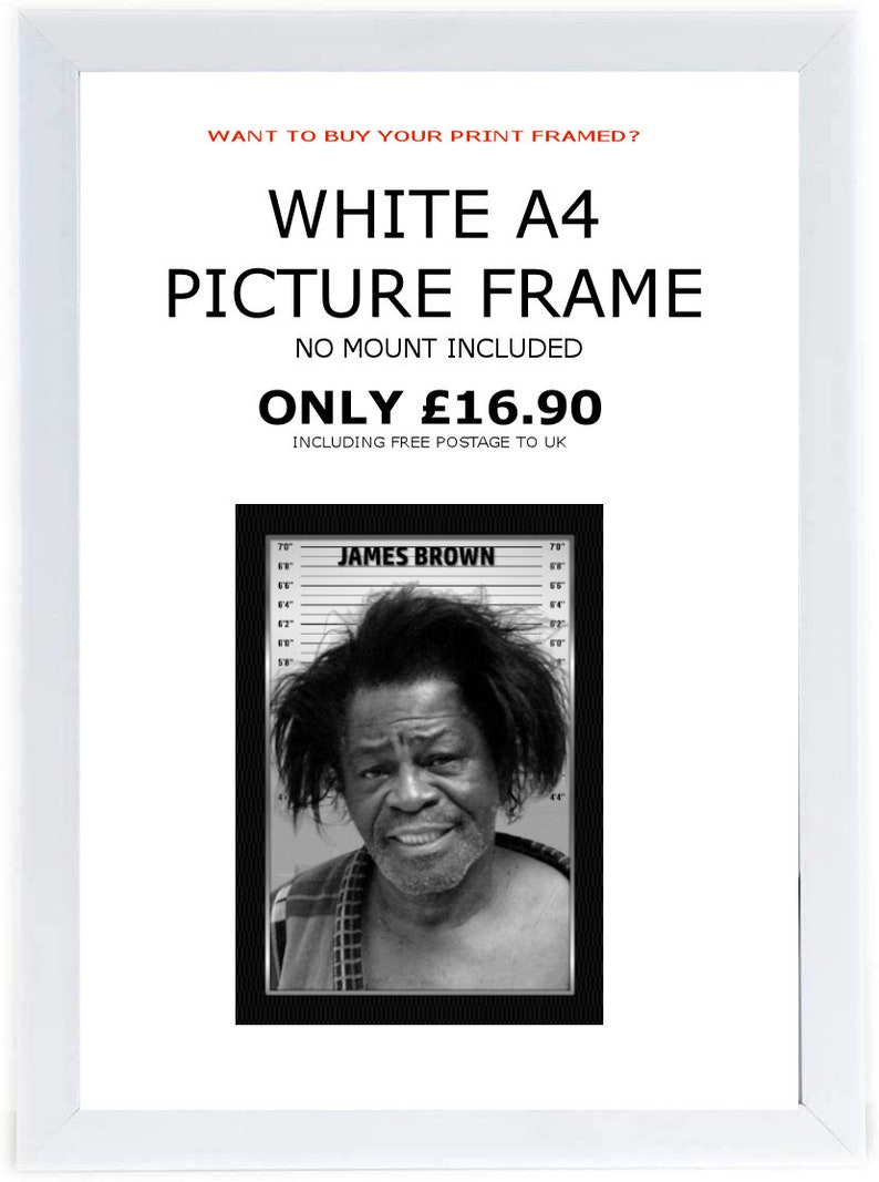 James Brown Celebrity Mugshots Photo Memorabilia White frame