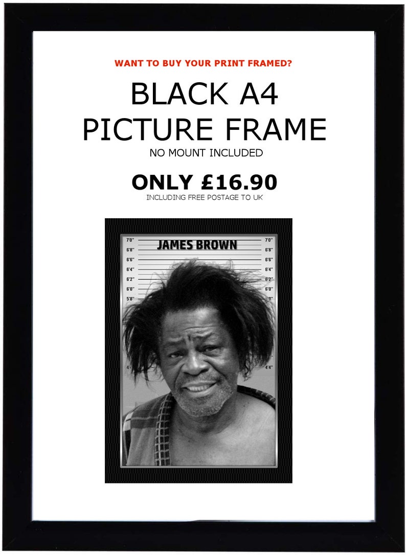 James Brown Celebrity Mugshots Photo Memorabilia Black Frame