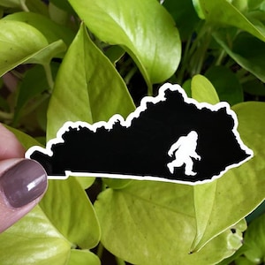 May include: Black and white sticker of the state of Kentucky with a silhouette of Bigfoot walking inside the state outline.
