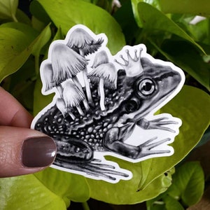 Kiss me frog prince, fairytales do come true, be your own prince charming, minimalist, black and white vinyl sticker decal