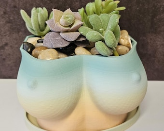 3D Printed Bust Planter: Misty Morning Pastel Vase