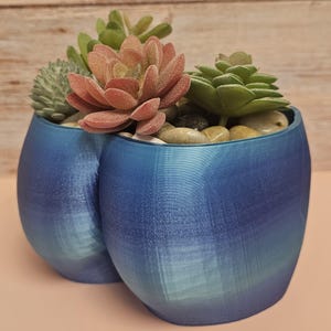 Op de afbeelding: Een blauwe keramische plantenpot in de vorm van twee harten, gevuld met kleine groene en rode succulenten en decoratieve stenen.