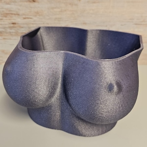 May include: A dark gray 3D printed planter shaped like a bust. The planter has a smooth, textured surface.