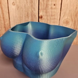 May include: A blue and green gradient planter shaped like a bust. The planter has a smooth, textured surface.