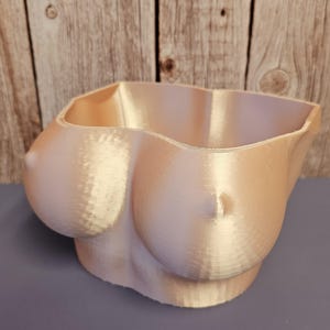 Maceta de torso impresa en 3D: Maceta de busto escultural de seda en oro rosa
