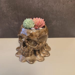 May include: A skull-shaped planter in a metallic gold finish, holding two artificial succulents in shades of green and pink. The planter has a detailed, textured surface and is filled with small white pebbles.