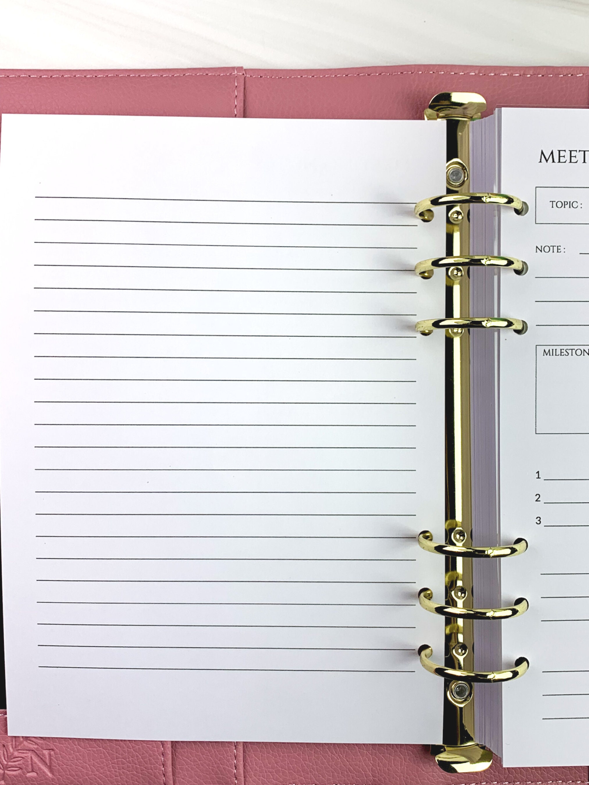 A5 Meeting Notes Inserts PRINTED | Work Meeting Notes Printed Planner ...