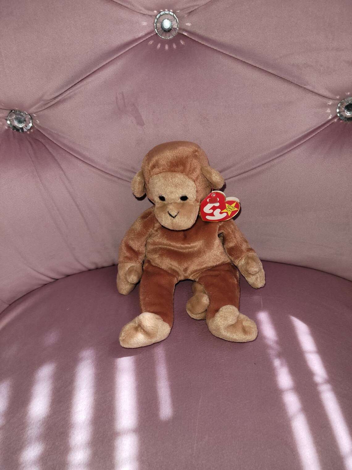 Rare 1995 BONGO Ty Beanie Baby PVC Pellets Tag Errors Mint Etsy