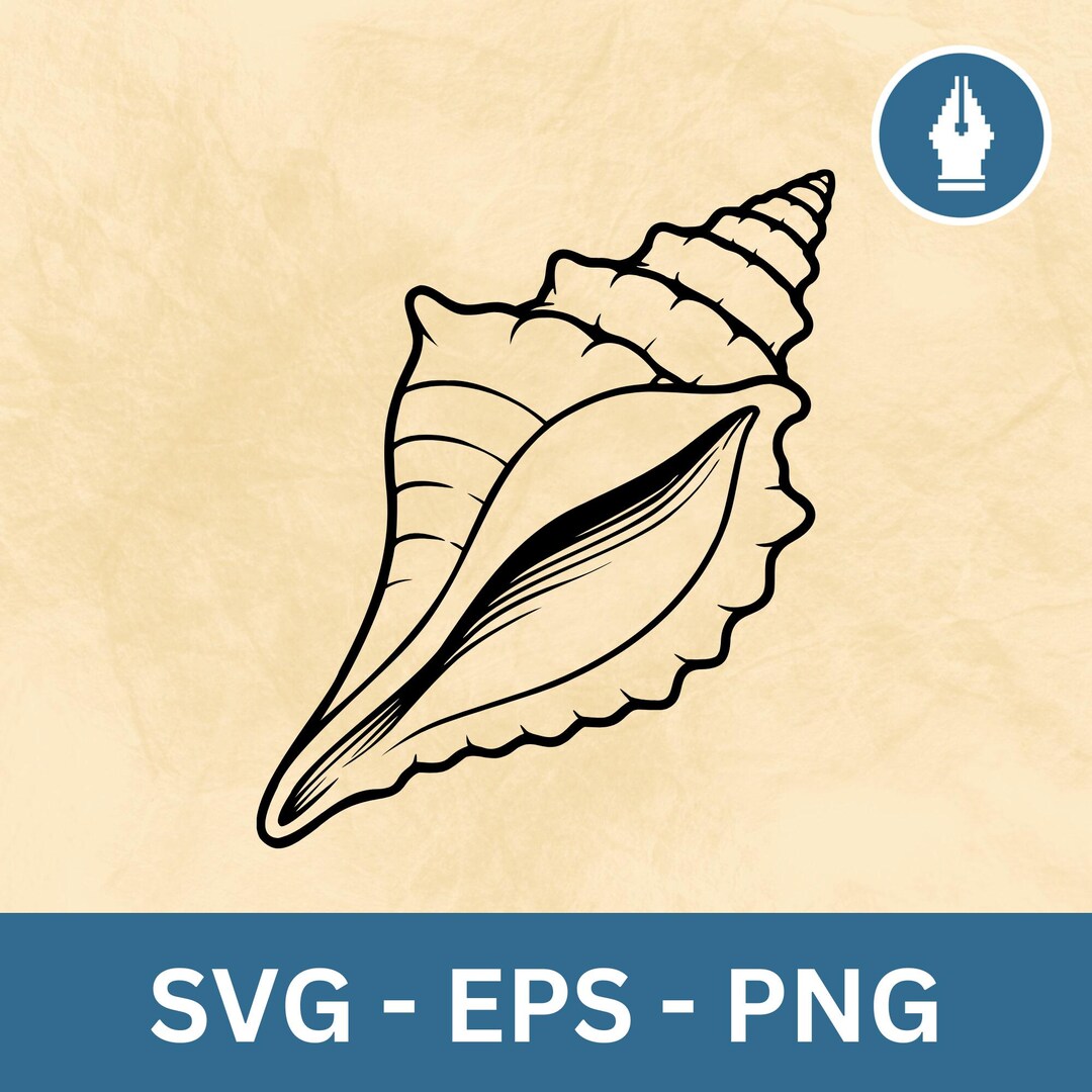 Seashell SVG, Conch Shell SVG, Ocean Shell Clipart, Beach Shell Cut ...