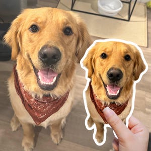 Personalized Dog Stickers | Custom Pet Sticker | Custom Dog Sticker | Dog Face Sticker | Sticker Of My Dog | Stickers Of My Pet