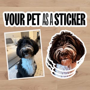 Custom Dog Sticker | Custom Cat Sticker | Pet Cartoon Portrait | High Quality - Picture Decal | Save Your Best Photo Sticker in Cartoon