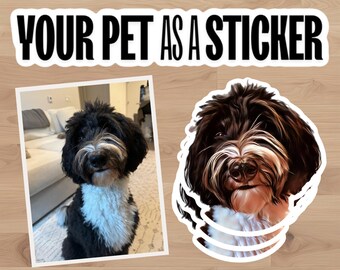 May include: A black and white dog with a white chest and a brown face is shown in a photo on the left. On the right, a sticker of the dog's face is shown. The text "YOUR PET AS A STICKER" is at the top of the image.