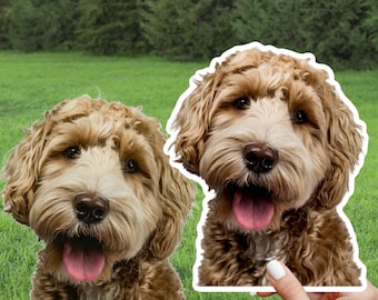 Custom Pet Sticker Using Your Pet Photo | Custom Dog Sticker | Custom Cat Sticker | Custom Dog Decals | Dog Stickers | Pet Print