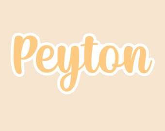 Custom Name Sticker | Teacher Stickers | Personalized Stickers | Monogram Stickers