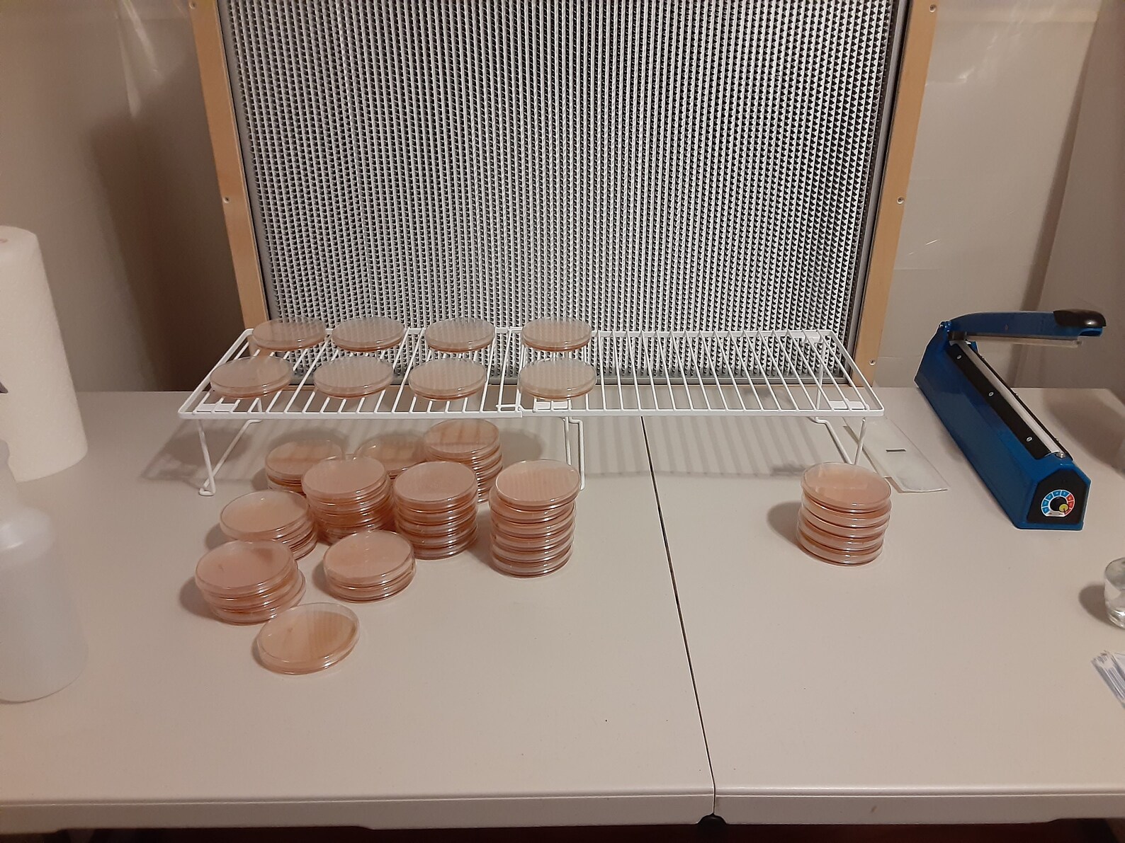 Pre Poured MEA Agar Dishes | Etsy