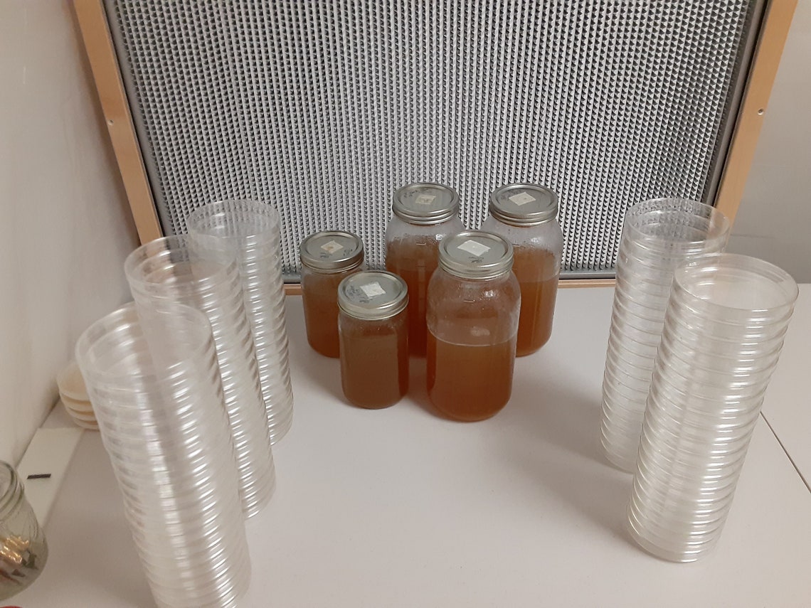 Pre Poured MEA Agar Dishes | Etsy