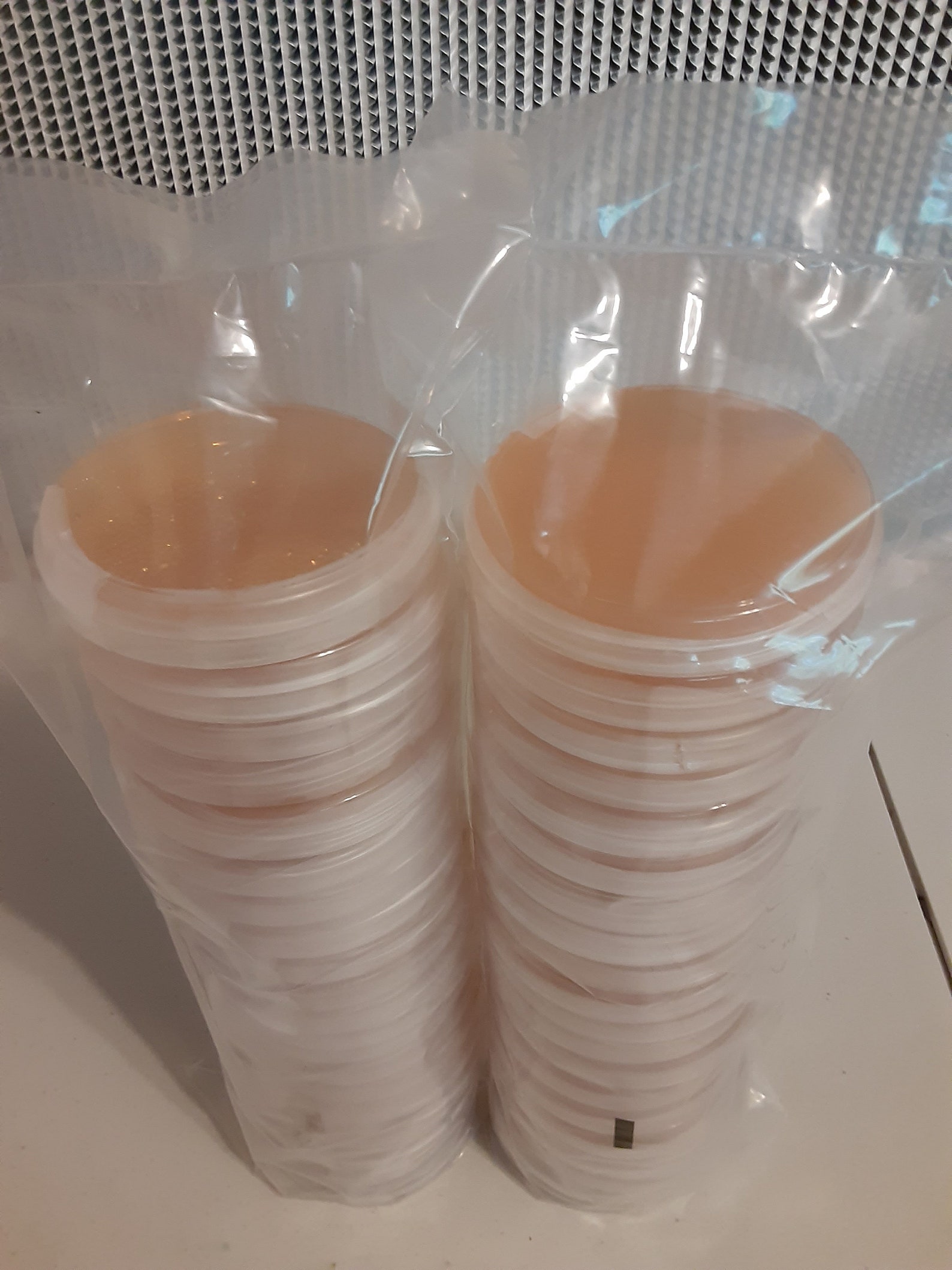 Pre Poured MEA Agar Dishes | Etsy