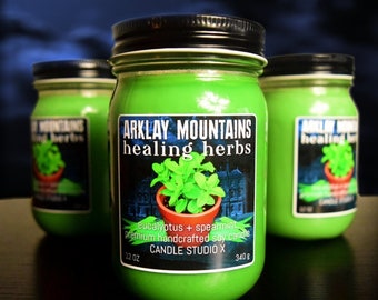 Arklay Mountains Resident Evil Inspired Candle | Spearmint Eucalyptus Scented