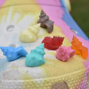 Seashell Shoe Charm