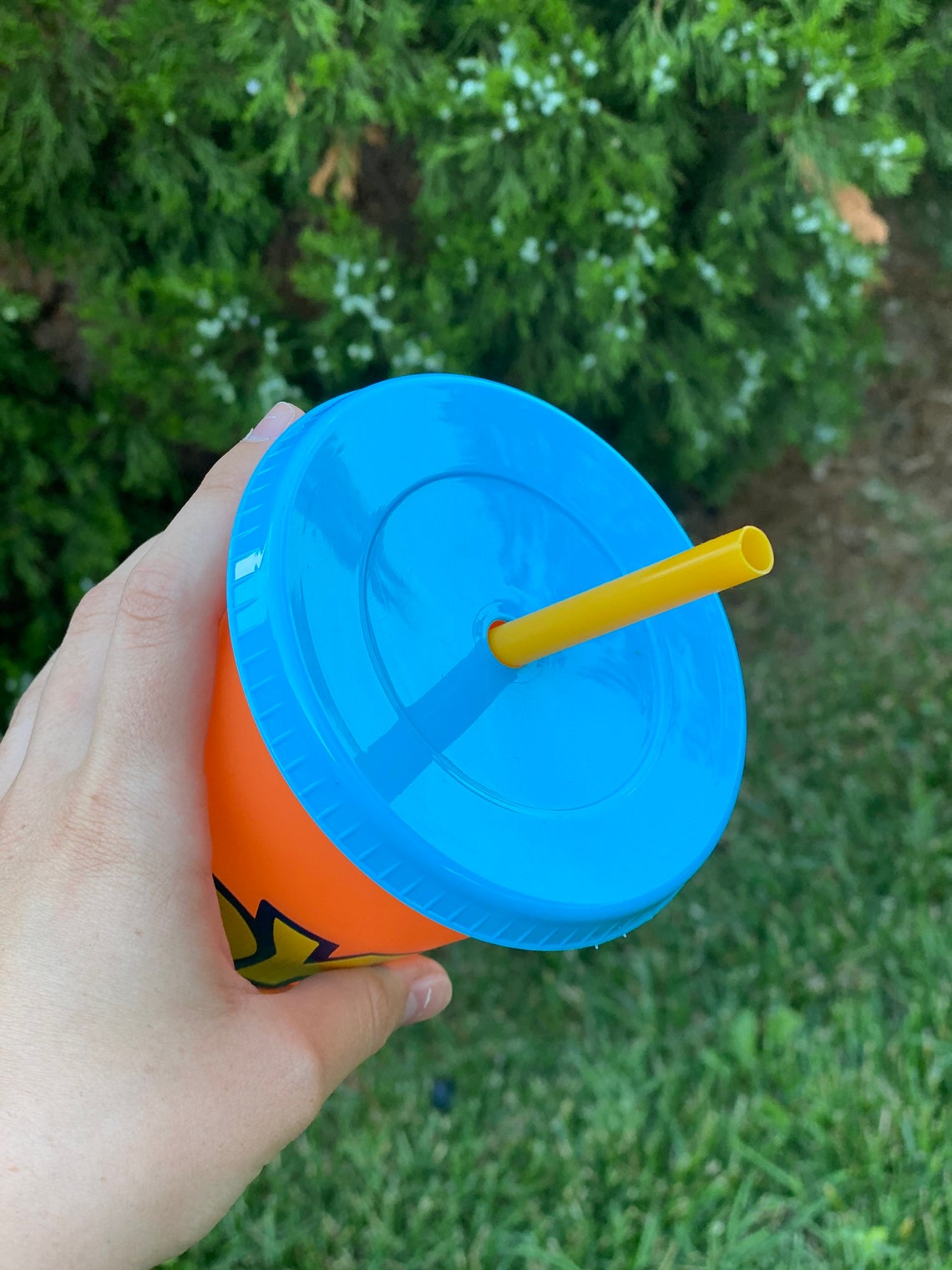 toy story reusable cups