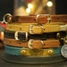 see more listings in the Cat Collars section