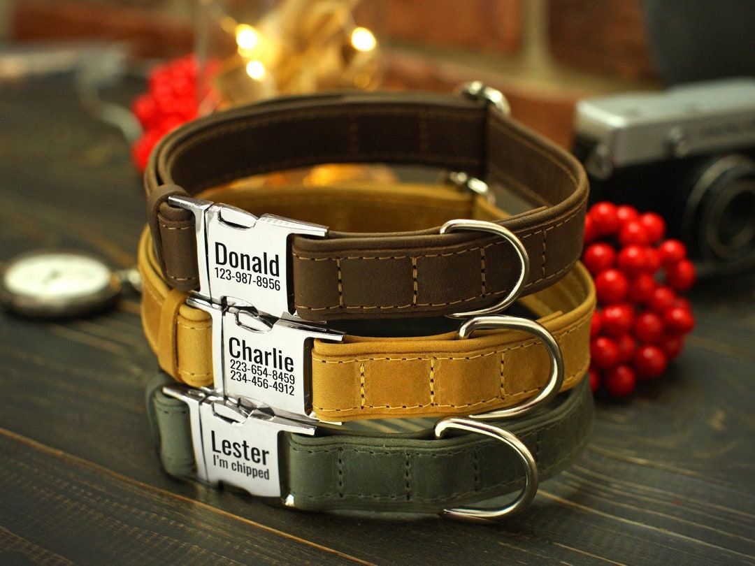 Personalized Dog Collar Leather, Engraved Dog Collar, Custom Pet