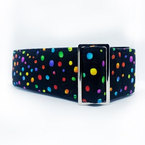Queerfetti pride martingale collar, greyhound collar, sighthound collar
