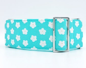 Lazy Daisy martingale collar, greyhound collar, sighthound collar