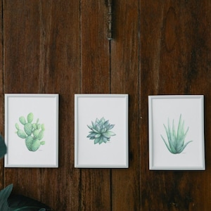 Set of 3 Succulent Watercolor Prints | Instant Download | Printable Wall Art | Hand-Painted | Minimalistic Nature Home Decor