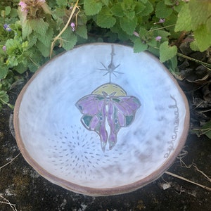 Luna Moth Bowl