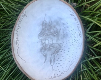 Transformation Snake Bowl