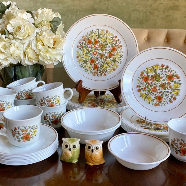 VINTAGE MCM DISHES: Corelle "Indian Summer" Dinnerware Sets and Open Stock | Owl Salt & Pepper Set