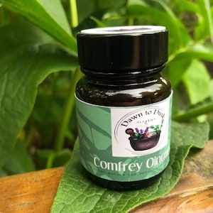 Może przedstawiać: Mały, ciemny szklany słoiczek z czarną pokrywką, oznaczony jako "Comfrey Ointment" przez Dawn to Dusk Alchemy. Etykieta zawiera ilustrację botaniczną. Słoiczek stoi na dużym zielonym liściu, z rozmytym zielonym tłem z liści.