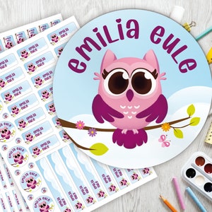 Conjunto inicial escolar: 126 adesivos ou conjunto de canetas 140 adesivos/adesivos de nome/personalizados/coruja rosa