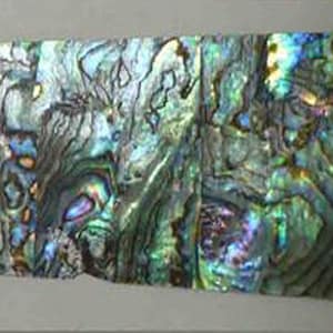 Genuine DARK PAUA Inlay Real Shell Thin Sheet Veneer Overlay DIY Luthier