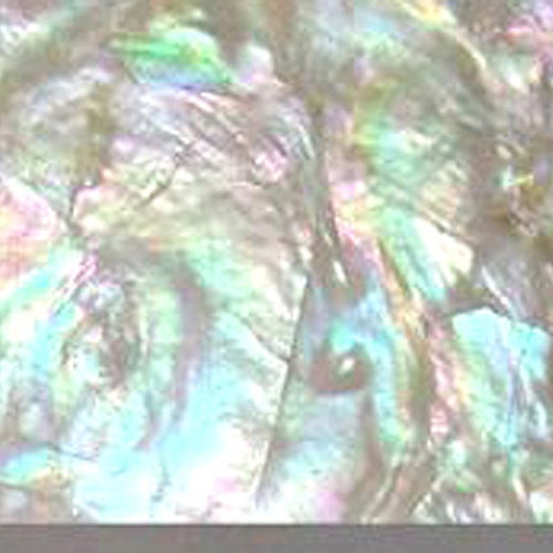 Black Mother of Pearl Shell INLAY OVERLAY Thin Sheet Veneer - Etsy