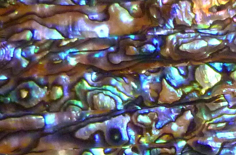 A+ Natural Genuine PAUA Inlay Real Shell Thin Sheet Veneer Overlay DIY ...