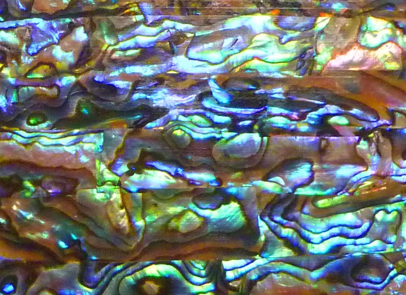 A+ Natural Genuine PAUA Inlay Real Shell Thin Sheet Veneer Overlay DIY ...